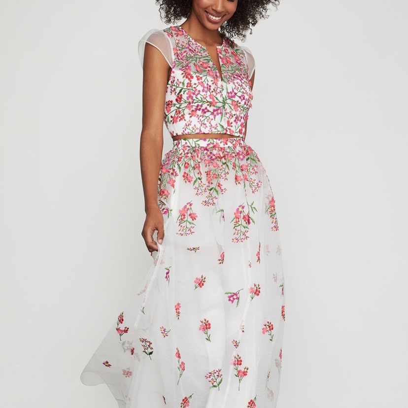 Bcbgmaxazria Two Piece Dress